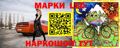 мяу мяу мука Гусь-Хрустальный